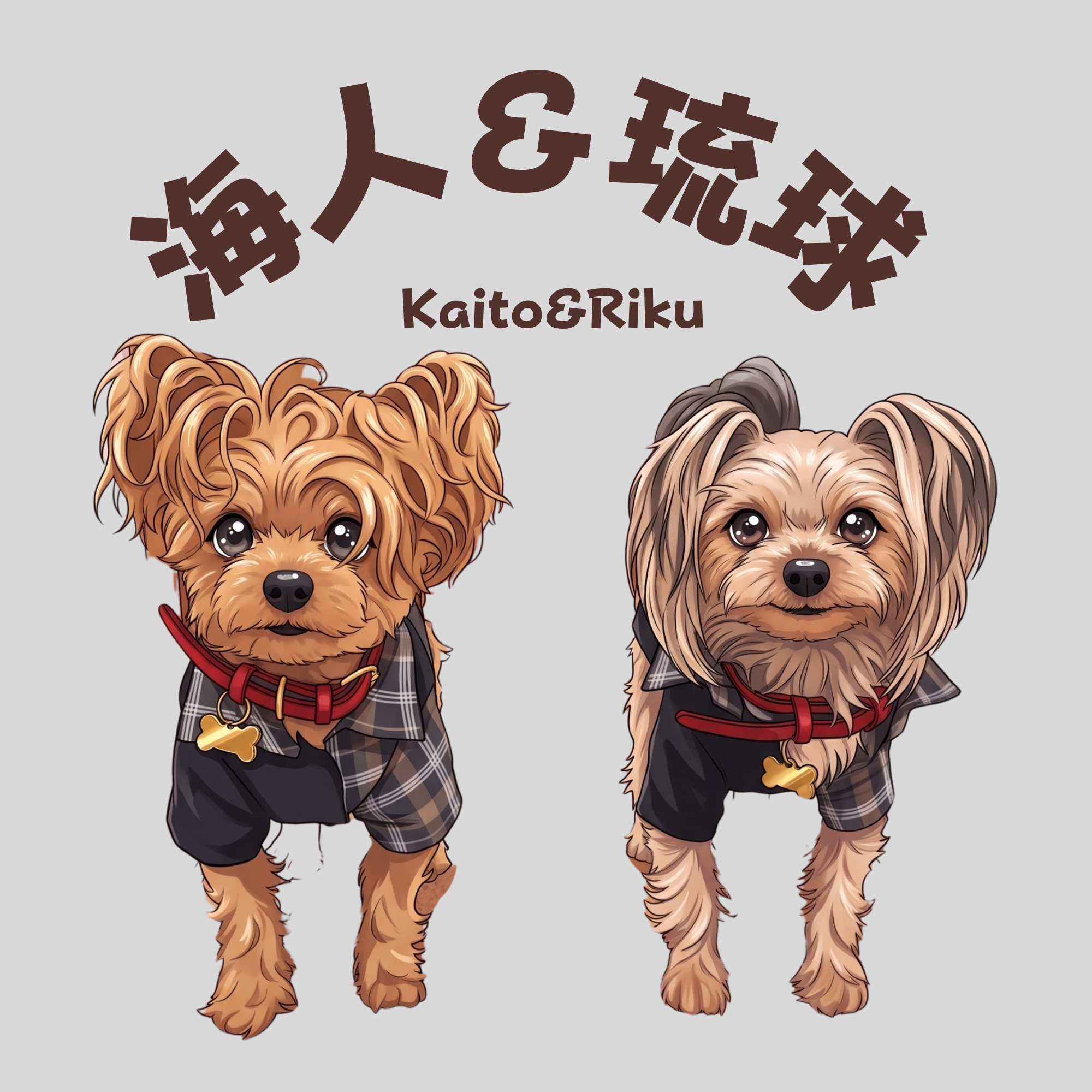 海人＆琉球 Kaito&Riku
